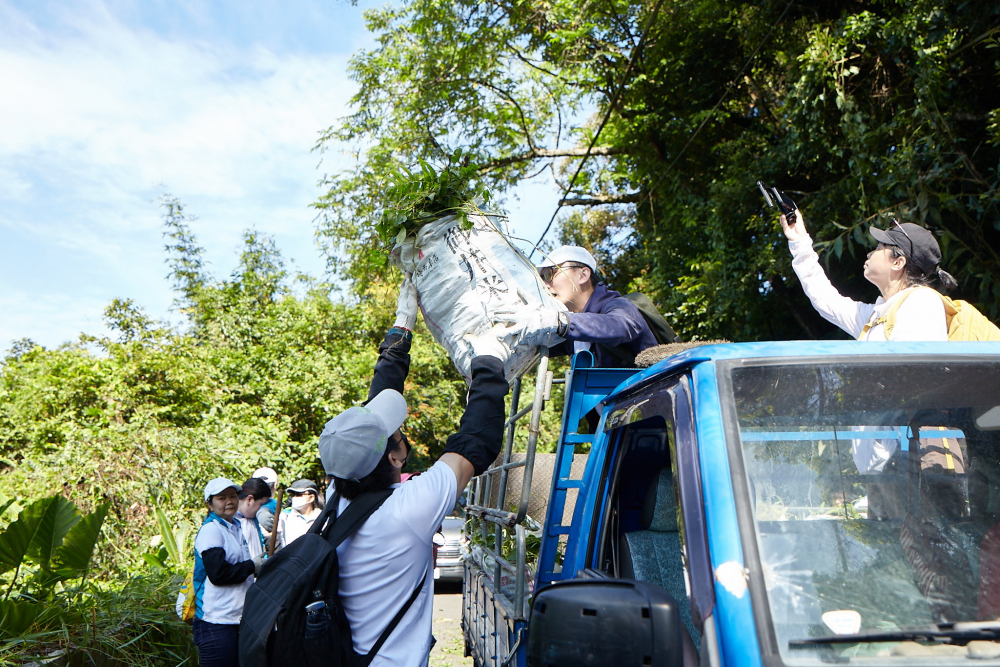 友達串聯志工組成水環境巡守隊 ，針對霄裡溪沿岸3公里的小花蔓澤蘭，定期進行移除與防治工作